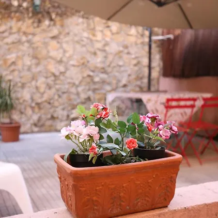 Traditional House W/ Terrace Apartment Lisbon